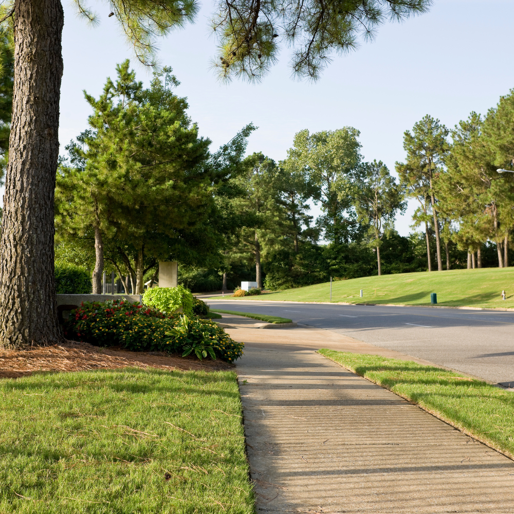 A sidewalk.